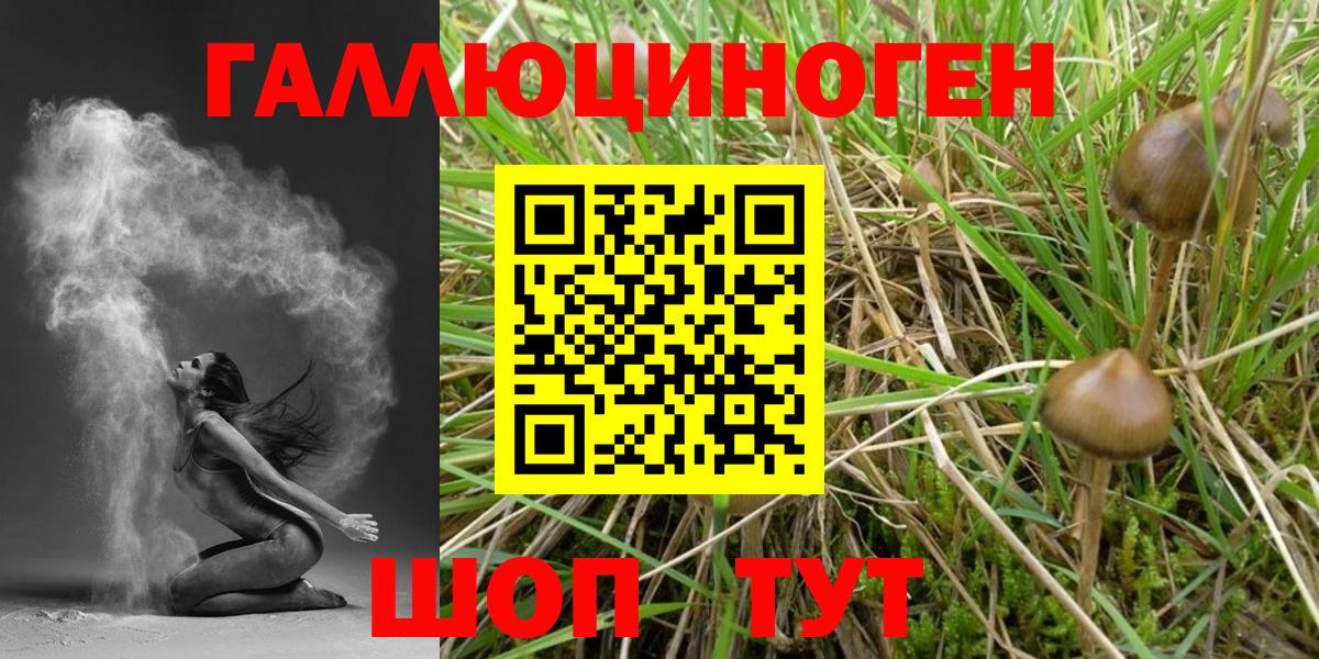 Галлюциногенные грибы MAGIC MUSHROOMS Кандалакша